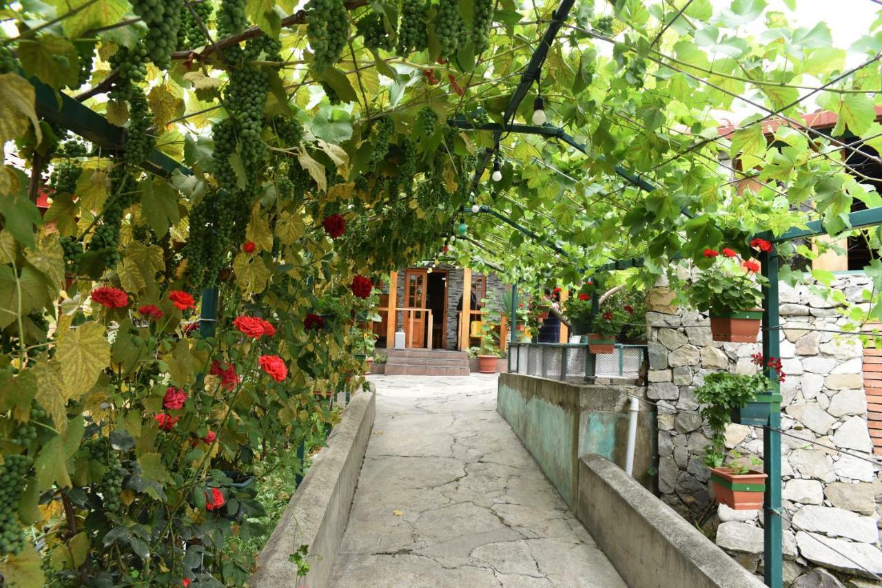 텔라비 Nikala B&B 외부 사진