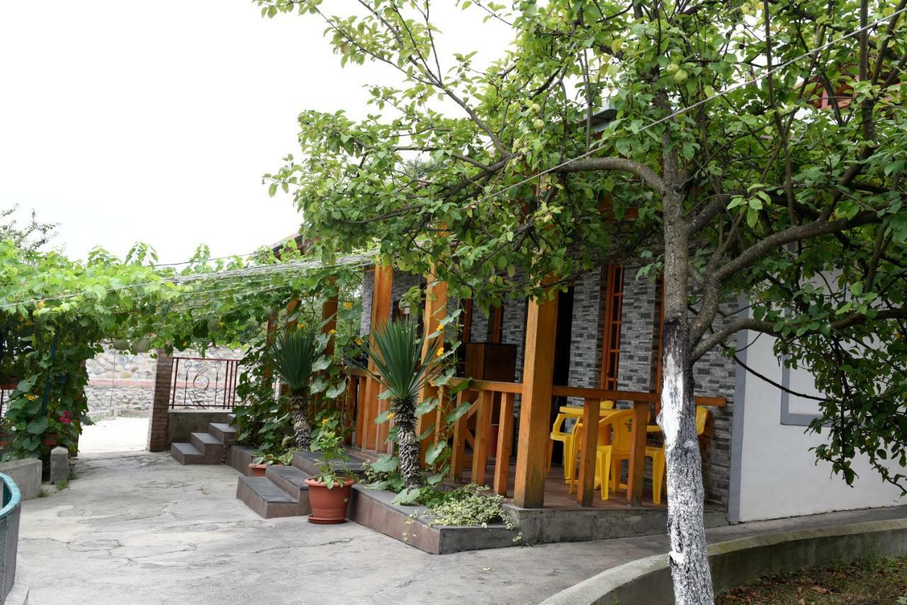 텔라비 Nikala B&B 외부 사진