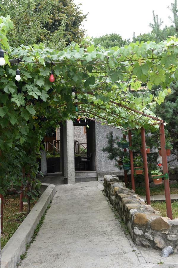 텔라비 Nikala B&B 외부 사진