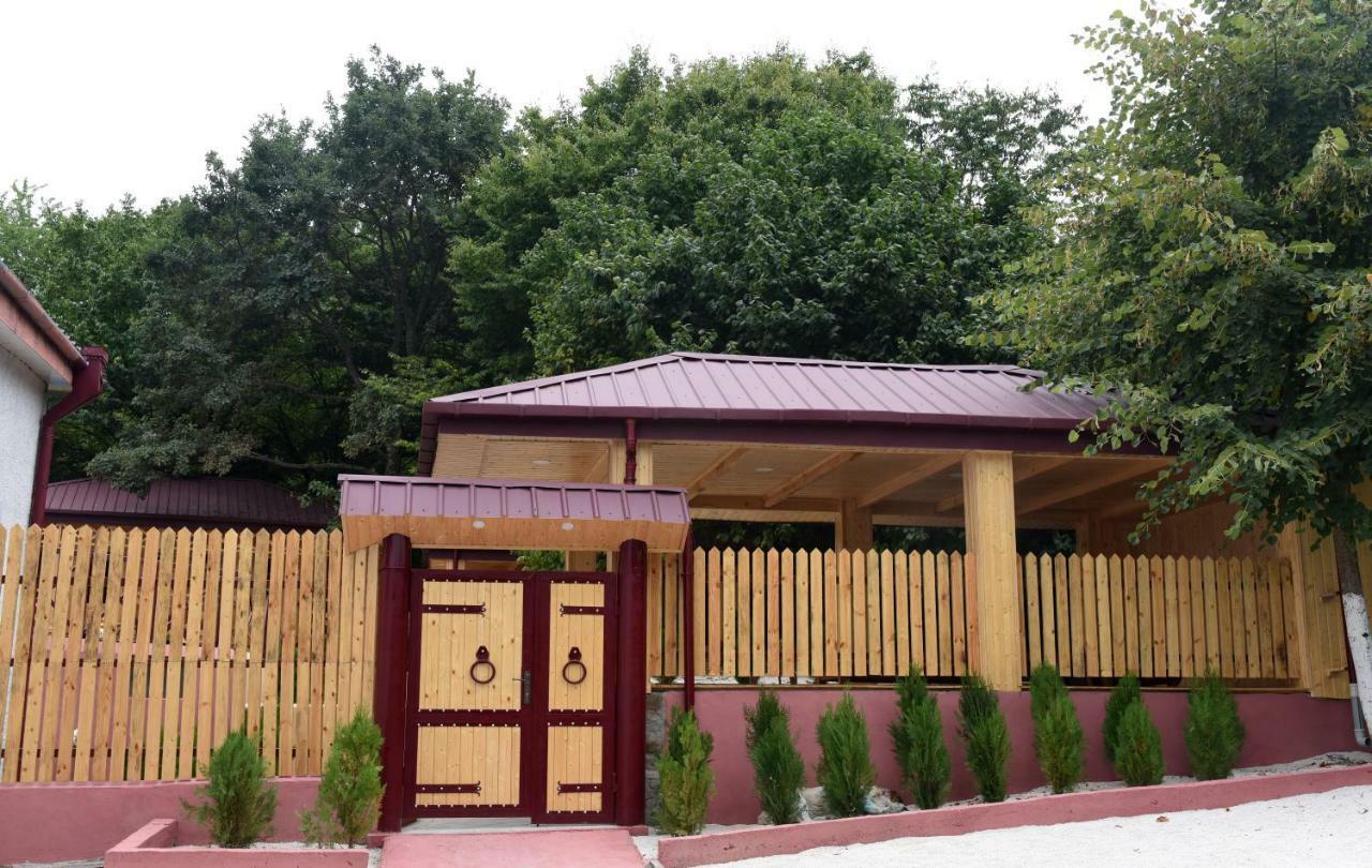 텔라비 Nikala B&B 외부 사진