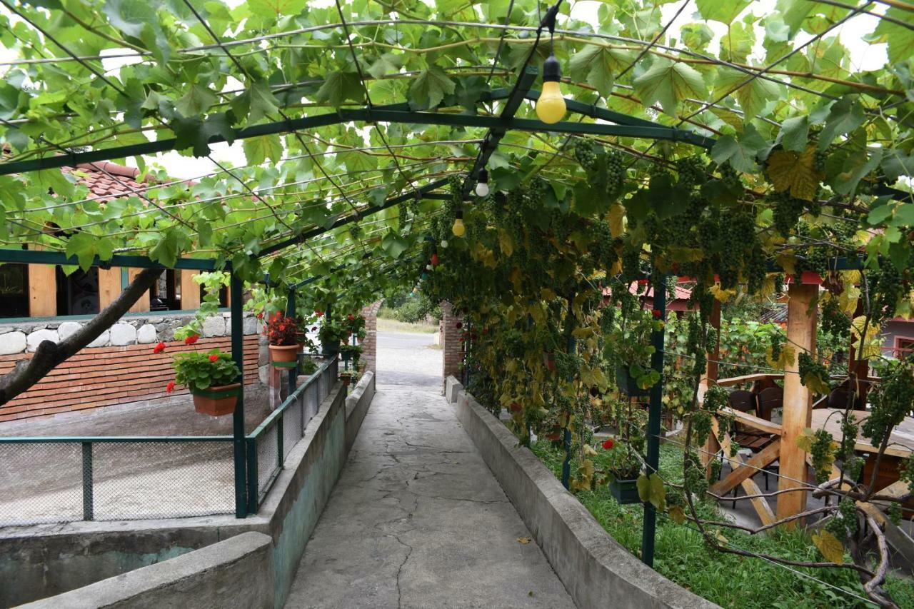 텔라비 Nikala B&B 외부 사진
